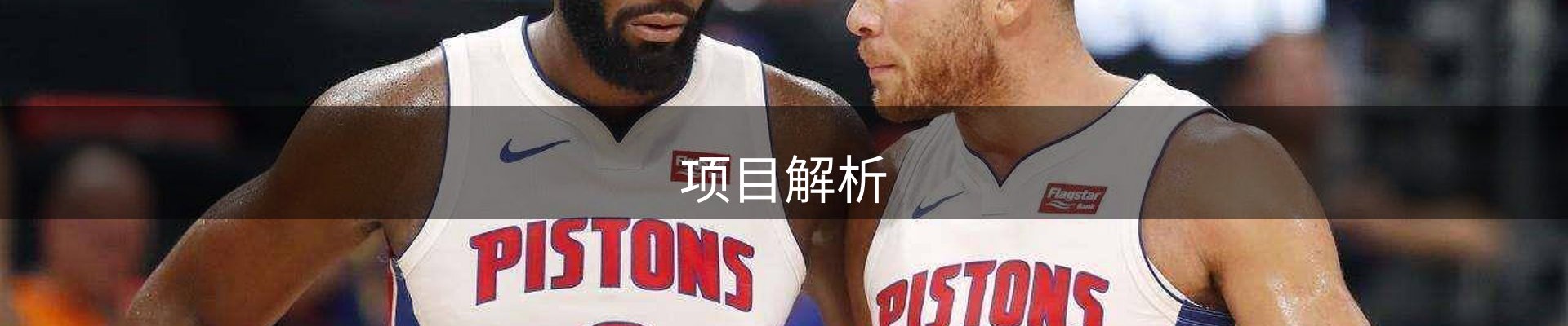 项目解析